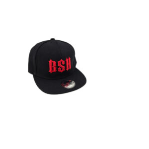 BSH snapback ball cap