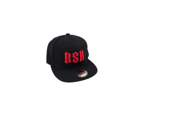BSH snapback ball cap